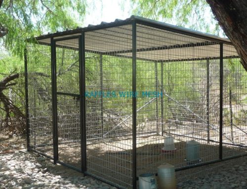 Buying the Best Aviaries