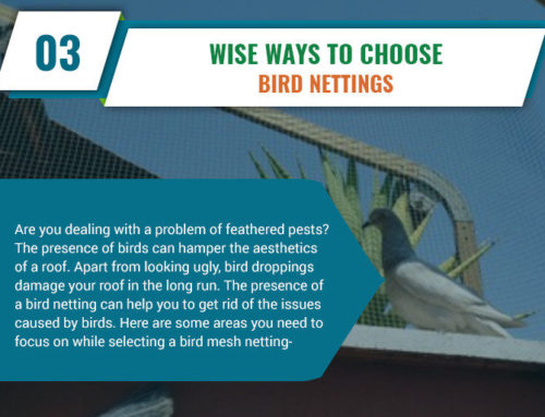 Infographic: Vital Factors To Remember While Looking For A Bird Netting